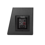 ROCKFORD P300-10 – Caisson de basses actif 10
