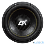 ESX QXE12D2 - Subwoofer Compact 30 cm à Double Bobine Mobile ESX