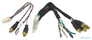 MUSWAY MPK-RCA6 – Adaptateur RCA/Cinch pour M4+ / M6 MUSWAY